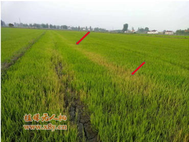 如何避免飞防作业产生意外损失