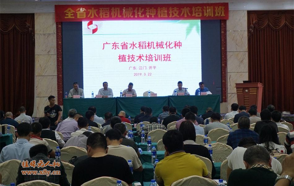 广东省水稻种植机械化技术培训暨现场演示会在开平市召开
